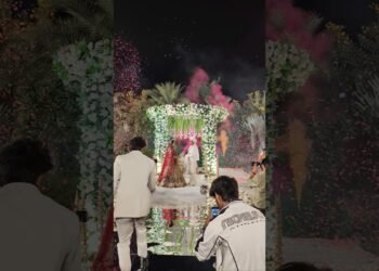 Congratulations Er. Vinay & Dr. Tanushree , intimate Wedding #viral #reels #shorts