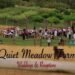 Quiet Meadow Farms | Weddings and Receptions at The Barn, Wedding Venue, Reception Center
