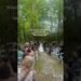 Intimate Forest Wedding at our venue The Barn at Havenwood #microwedding  #intimatewedding