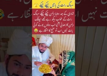 Brother Entry Plan Cancel 😂 #bridal #wedding #viralshort #viralreels #trending #viral #ytshorts