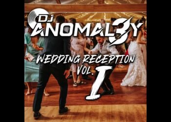 DJ Anomal3y: If I Was Your Reception DJ | Wedding Party Mix 2025 🎶🔥