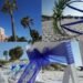 Wedding Venues In Florida and Beyond