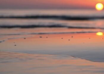 A Quiet Signal | Intimate Wedding Moments & Romantic Atmosphere