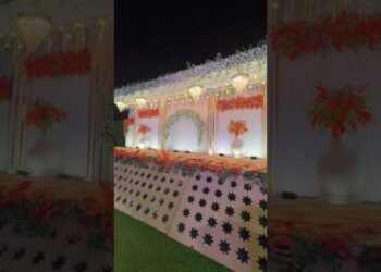 Latest Design Wedding Stage Decor