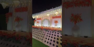 Latest Design Wedding Stage Decor