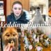 Plan My Dream Wedding With Me – wedding planning vlog, cake tasting, hair & makeup trial & more