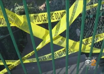 Investigation Underway To Explain Why Large Tree Fell On Whittier Wedding Party