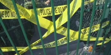 Investigation Underway To Explain Why Large Tree Fell On Whittier Wedding Party