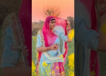 #song #love #shortvideo #folkmashup #rajasthaniposak #rajasthaniclture #trending #dance #wedding #dj