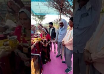 Nandoi song#rajasthani#shekhawati#trending#shorts#viralvideo#ytshorts#marwadi#love#dj#wedding#dance