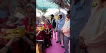 Nandoi song#rajasthani#shekhawati#trending#shorts#viralvideo#ytshorts#marwadi#love#dj#wedding#dance