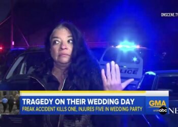 Tree Falls on Wedding Party, Killing 1, Injuring 5