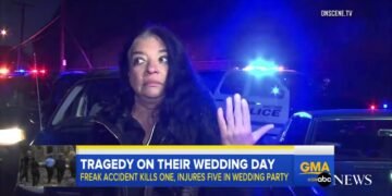 Tree Falls on Wedding Party, Killing 1, Injuring 5