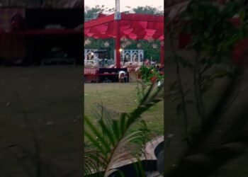 recent design wedding stage decoration oleander #wedding #tranding #decoration