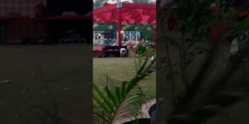 recent design wedding stage decoration oleander #wedding #tranding #decoration