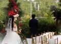 [Tris Film] Intimate Wedding Bảo Trân & Văn Thạnh