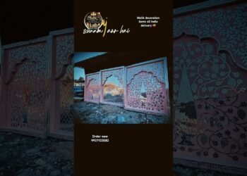 Mirror Stage Design for Wedding | Premium Backdrop Setup | Malik Decoration Items India #shorts