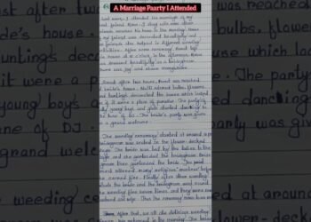 A Wedding Ceremony That I Attended | A Marriage Party| A Marriage Ceremony #shorts #marriageceremony