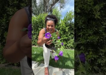 Work on my garden wedding venue with me!!! #gardenwedding #bridetobe #backyardwedding