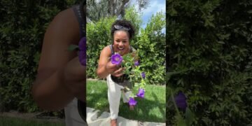 Work on my garden wedding venue with me!!! #gardenwedding #bridetobe #backyardwedding