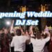 Opening Wedding DJ Set Pittsburgh @ Carnegie Museum of Art