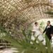 Secrets Moxche intimate wedding. Jessica & Maikel highlights video.