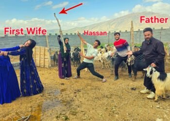 Wedding Party Debts Cheque: First Wife Fights against Mr Hassan & Habib Family Job Plan