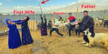 Wedding Party Debts Cheque: First Wife Fights against Mr Hassan & Habib Family Job Plan