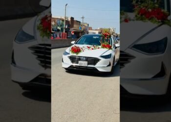 Luxury Wedding Automotive Decorations |#shorts #ytshorts #youtubeshorts #viral