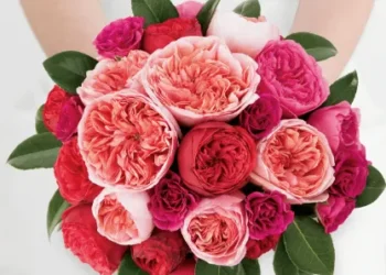 Wedding Collections – Pinks & Fuchsias