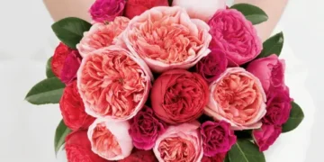 Wedding Collections – Pinks & Fuchsias