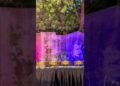 Beautiful Floral Wedding Stage Design#03106992129#shortvideo #eventstyling #viral #shadidecoration