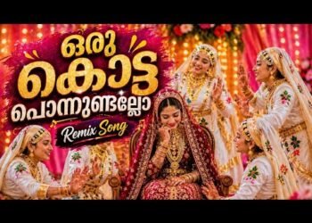 ഒരു കൊട്ട പൊന്നുണ്ടല്ലോ | Orukotta Ponnundallo Remix Song | Wedding DJ Vibe