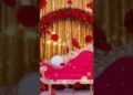 wedding video stage flower design  animation