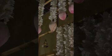 Hindu Wedding | Intimate Wedding | Kerala Wedding | Kohi