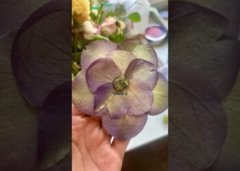 Wedding Planning?