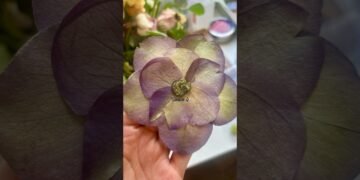 Wedding Planning?