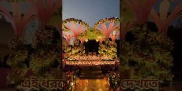 Royal Wedding Stage Decoration 👑/#youtubeshorts