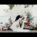Intimate Wedding Thụy Anh & Thibaud Highlight