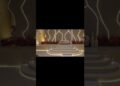 Oman Luxury Wedding Stage Design ✨🇴🇲 #shorts