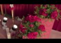 Royal Red Wedding Decor ❤️ | Luxurious Wedding Stage Design | Dream Wedding Setup 2026