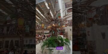 Cuma 6 Jutaan aja kamu bisa intimate wedding di lokasi ini !