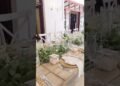 An Intimate Wedding Crammed with Love & Elegance